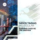 Simos Tagias - The Shaman Original Mix