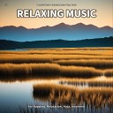 Peaceful Music Relaxing Music Yoga Music - Relaxing Music Pt 5