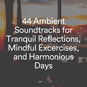 Meditation and Sounds - Group Meditation Music Pt 1