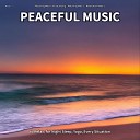 Relaxing Music for Studying Relaxing Music Relaxation… - Peaceful Music Pt 5