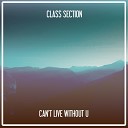 Class Section - I Can t Live Without U Nu Ground Foundation Us Garage…