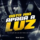DJ JS MIX MC LM mc tody feat Mc 7 Belo - Gato Mia Apaga a Luz