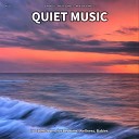 Soft Music Relaxing Music Meditation Music - Quiet Music Pt 11