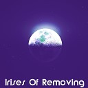 Jamesmichael Frye - Irises Of Removing