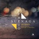Yumeto Suenaga - 33 Ver nderungen ber einen Walzer von Diabelli Op 120 No 1 Thema Vivace…