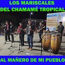 LOS MARISCALES DEL CHAMAME TROPICAL - Yo No Te Merezco Amor El Gateao Hipolito Alvarez Crece el Rio Entre Amigos y…