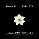Дашка G anemoya - Зимняя вишня