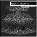 Krizaliss - The Roots Alex ll Martinenko Denis Araratoff…