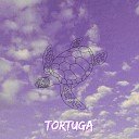 Mussgo - Tortuga