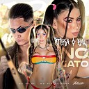 mc k k DJ DZS feat MC Pipokinha - Atira o Pau no Gato