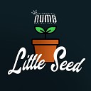 Never Underestimate Musical Belief - Little Seed