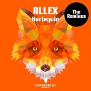 AllEX - Harlequin Beatgrid s Out Of Space Remix