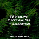 Serenity Spa Music Relaxation Sounds of Nature White Noise Sound Effects Nature Sounds Nature… - Love in Connection