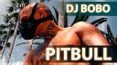 Pitbull Dj Bobo - Rumba Pitbull Dj Bobo DJ TemperaTura remix