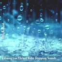 Steve Brassel - Calming Low Pitched Water Dropping Sounds Pt…