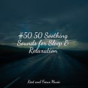 Entspannungsmusik Oase Avslappning Sound Study… - Rest and Relaxation