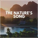 The Nature Soundscapes Sounds of Nature Noise Bird… - Birds in Nature