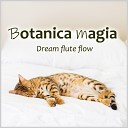 botanica magia - Magic Melody