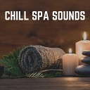 Amazing Spa Music - Solace Ambient