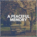 Musique Zen - Memories of the Past Pt 4
