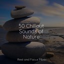 Meditation Relaxation Club Deep Sleep Music Academy Mindfulness Mediation… - Vital Ingredients for Success