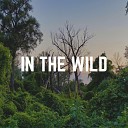The Nature Soundscapes - Night in Rainforest
