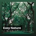 The Nature Soundscapes - 30 Beautiful Nature Sounds Pt 4