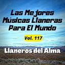 Llaneros del Alma - Mi Verso Es Puro Joropo