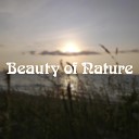 Narcotic Chill - Beauty of Nature