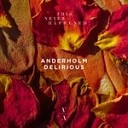 Anderholm - Muzik Original Mix