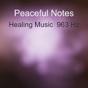 Peaceful Notes - Rebirth Step 29
