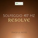 Peaceful Notes - Empowering Music Solfeggio 417 Hz Resolve Step…