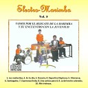 Electro Marimba - En Tu D a