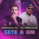 Xandinho Mc Dj Marcilio feat Mc pretinha - Sete a Um