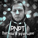 PNPT - Взгляд в будущее