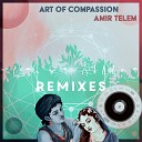 Amir Telem - Art of Compassion Darin Epsilon Remix