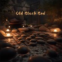 Winifred Park - Old Black Bed