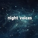 Teresa Castillo - Night Voices
