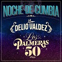 Los Palmeras La Delio Valdez - El Cafetero