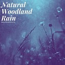 Natural Woodland Sounds - Sky pour