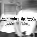 psychosis 666 feat flexfloyd - War Under the Weed