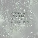 Sounds of Nature Noise - Rain in Stereo