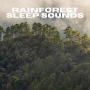 Nature Sounds For Sleeping - Baby Sleep Crickets And Waterfall