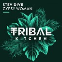 Stev Dive - Gypsy Woman Radio Edit