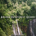 Sleep Rain Memories - Calming Rain Forest Noise Pt 190
