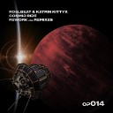 RoelBeat Katrin Kittyx - Cosmic Ride FX Control Remix