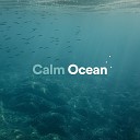 Ocean in HD - Ocean Ecstacy
