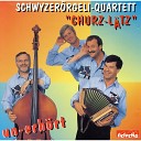 Schwyzer rgeli Quartett Churz L tz - Frieda s Liebling