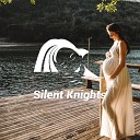 Silent Knights - White Noise Womb Sleep Music