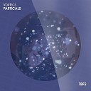 Vortecs - Particals Extended Mix